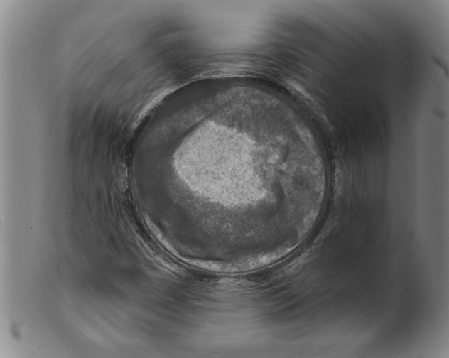X0000098201449200805221530