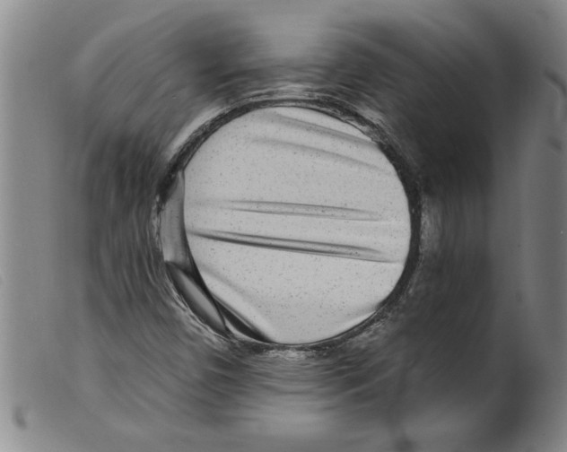 X0000098201450200805221530