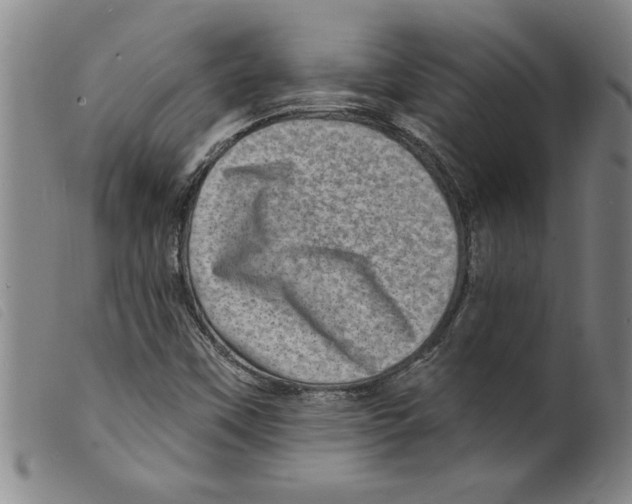 X0000098201451200805221530