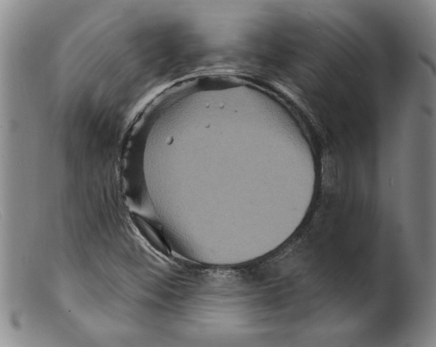 X0000098201452200805221530