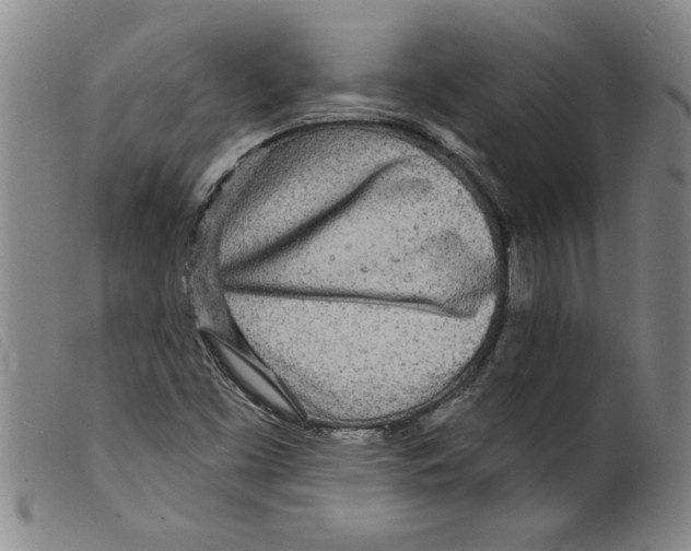 X0000098201453200805221530
