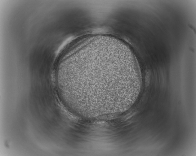 X0000098201454200805221530