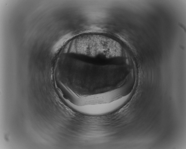 X0000098201455200805221530