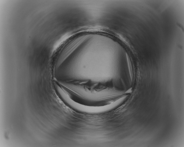 X0000098201456200805221530