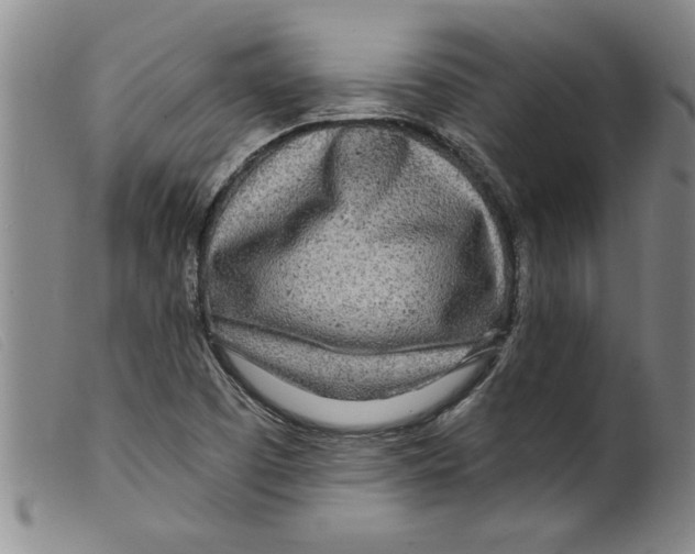 X0000098201457200805221530