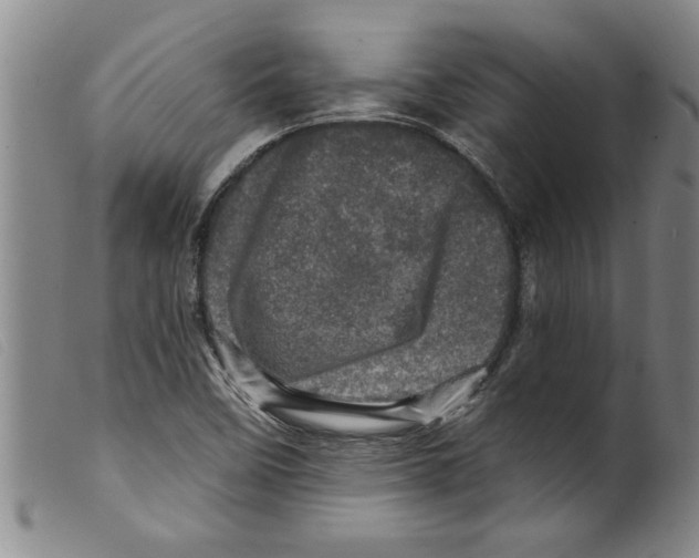 X0000098201458200805221530