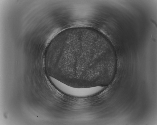 X0000098201459200805221530