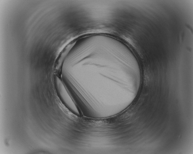 X0000098201460200805221530