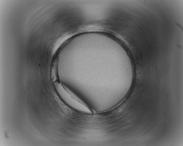 X0000098201461200805221530