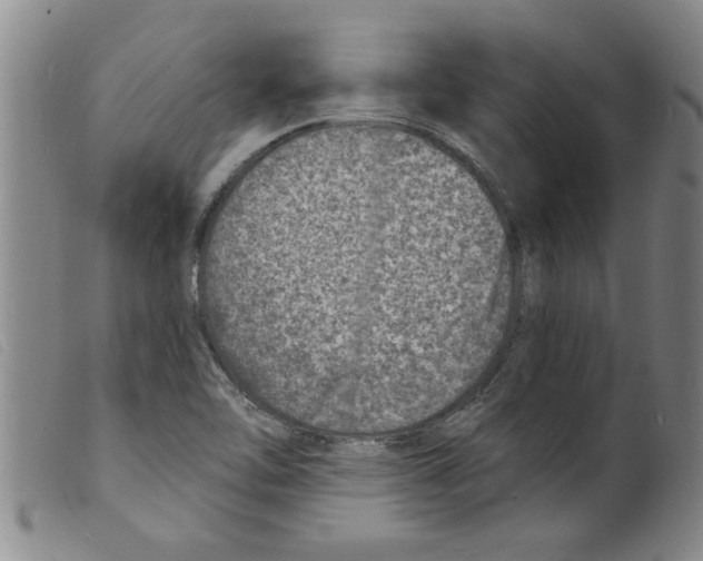 X0000098201462200805221530