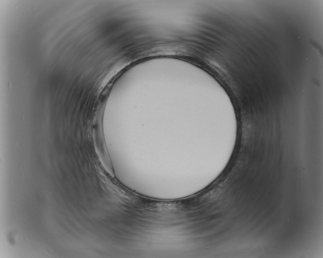 X0000098201465200805221530