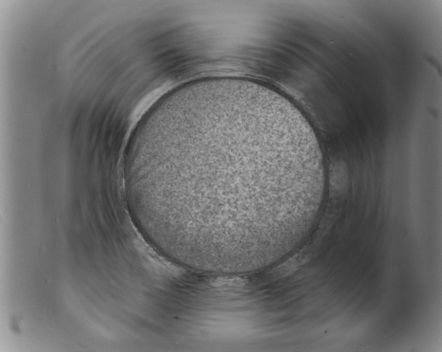 X0000098201466200805221530