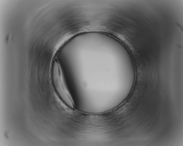 X0000098201469200805221530