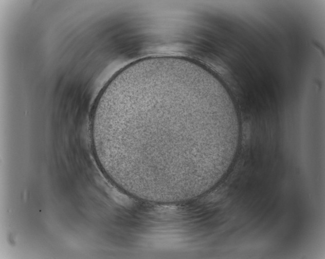 X0000098201470200805221530