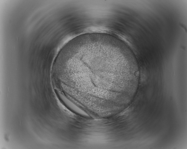 X0000098201471200805221530