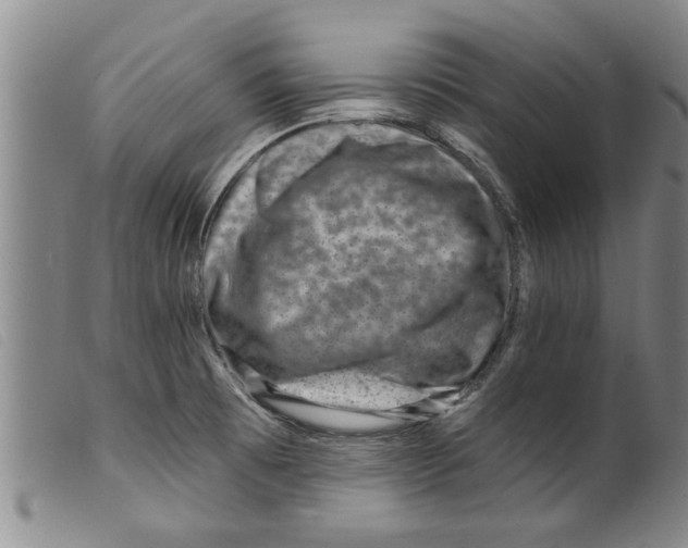 X0000098201473200805221530