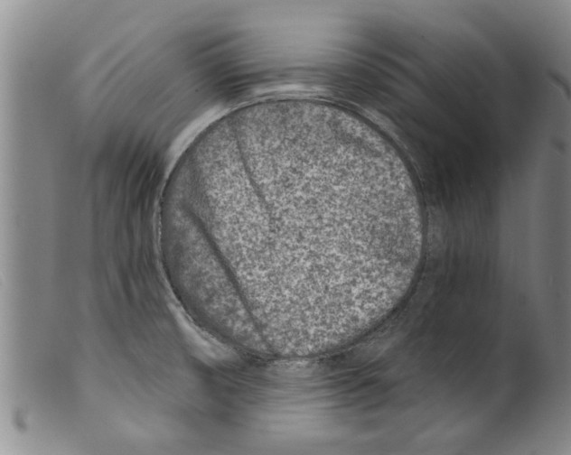 X0000098201474200805221530
