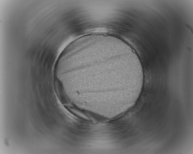 X0000098201475200805221530