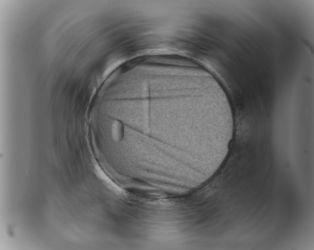 X0000098201476200805221530