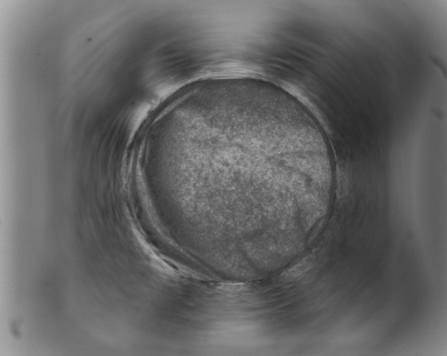 X0000098201477200805221530