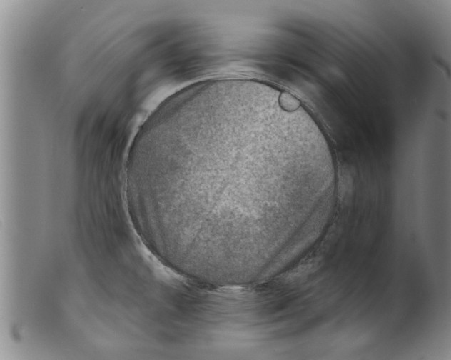 X0000098201478200805221530