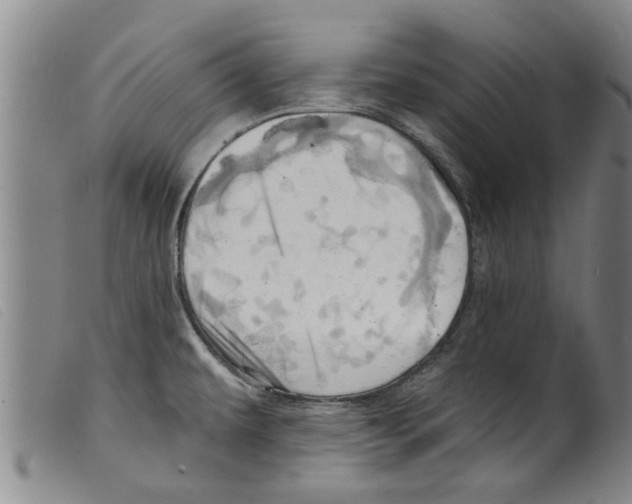 X0000098201479200805221530