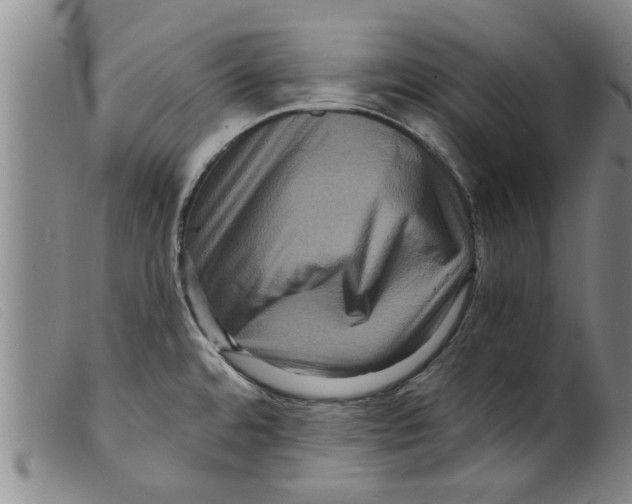 X0000098201480200805221530