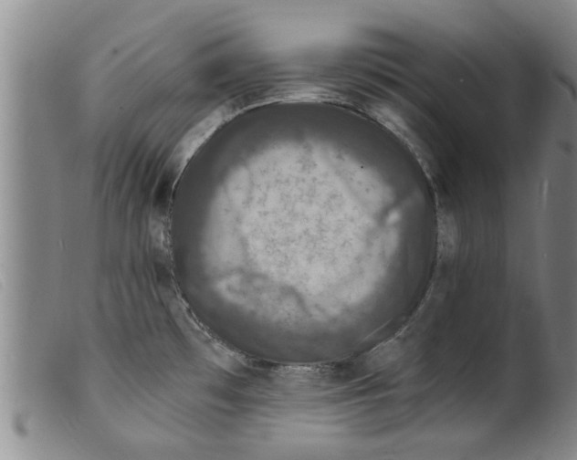 X0000098201481200805221530