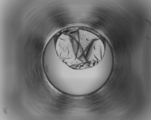 X0000098201484200805221530