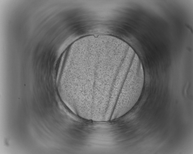 X0000098201486200805221530