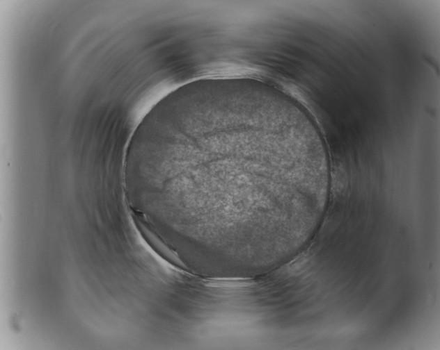 X0000098201487200805221530
