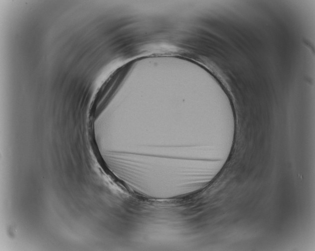 X0000098201488200805221530