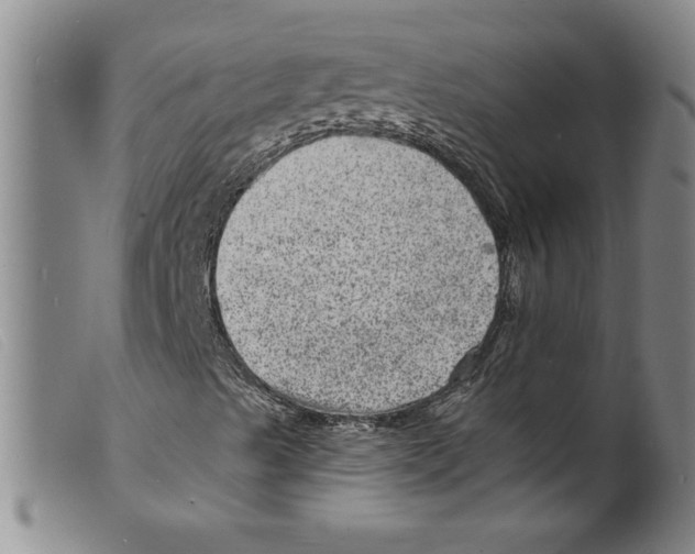 X0000098201489200805221529