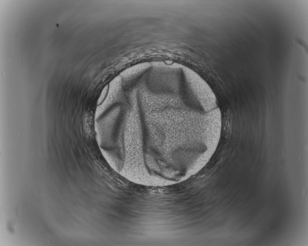 X0000098201490200805221529