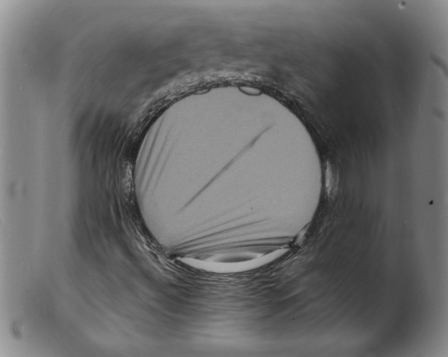 X0000098201492200805221529