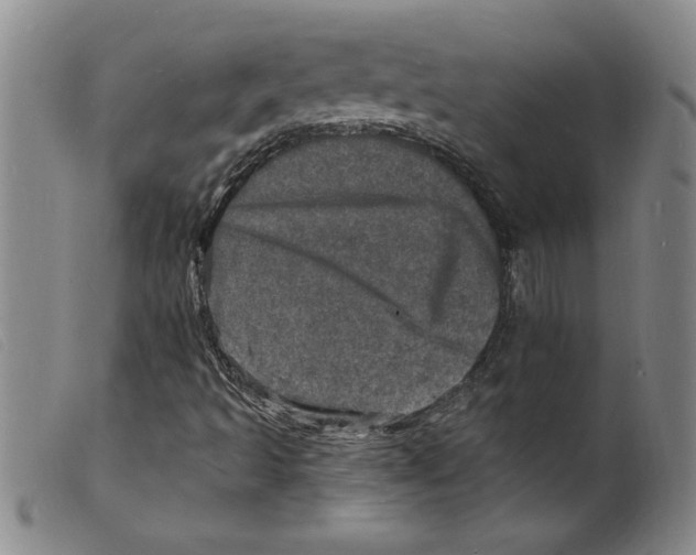 X0000098201493200805221529