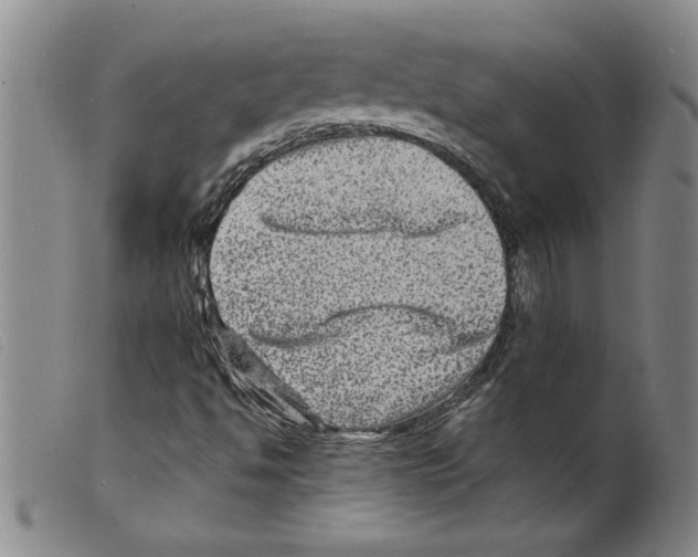 X0000098201494200805221529