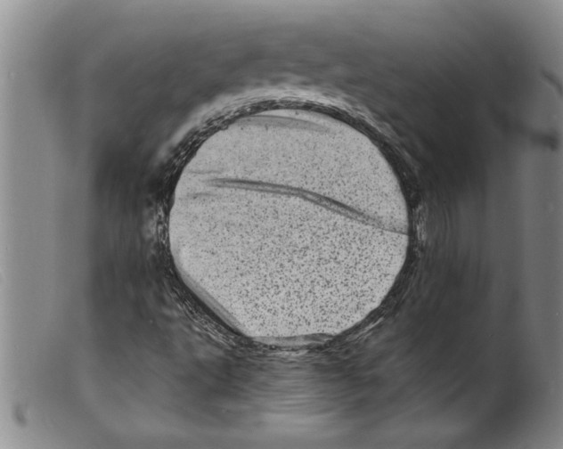 X0000098201495200805221529