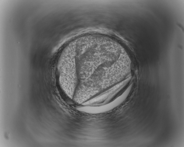 X0000098201496200805221529