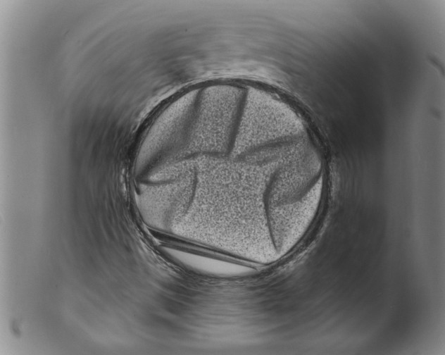 X0000098201497200805221529