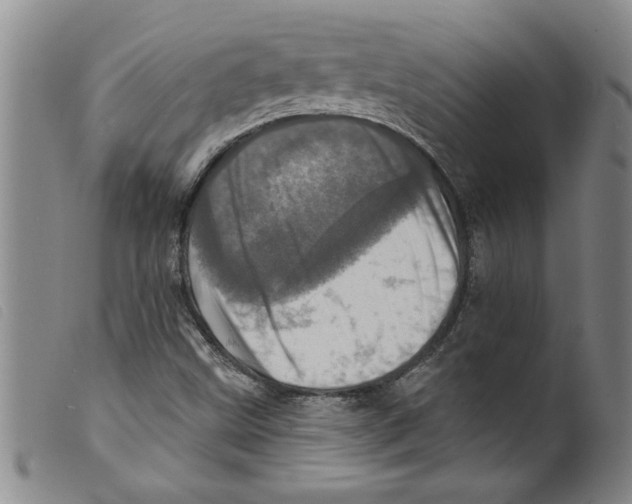 X0000098201499200805221529