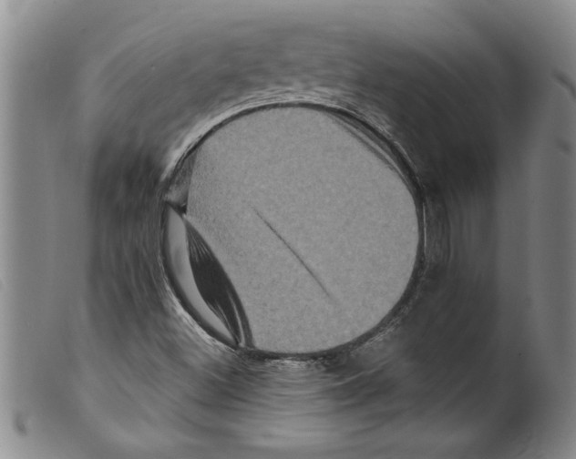 X0000098201500200805221529