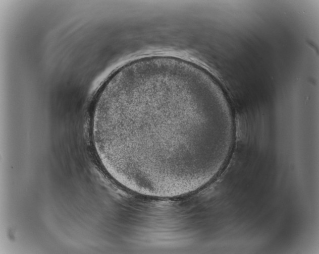X0000098201502200805221529
