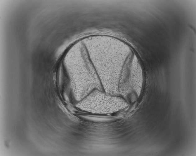 X0000098201503200805221529