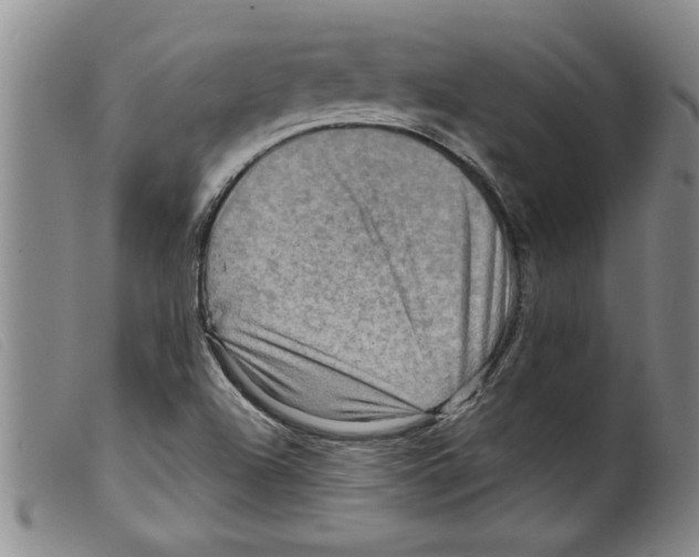 X0000098201504200805221529