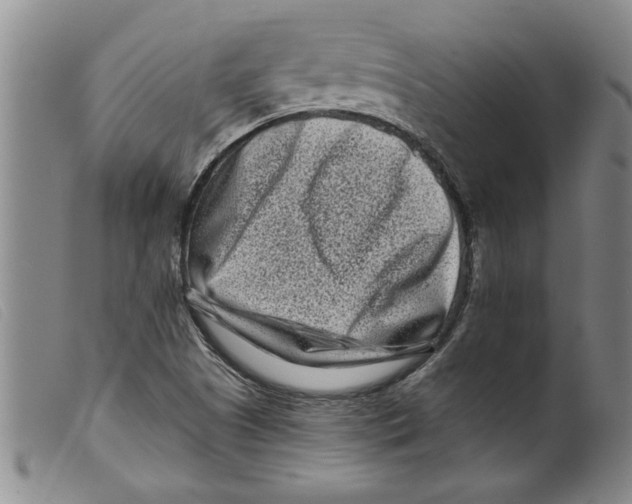 X0000098201505200805221529