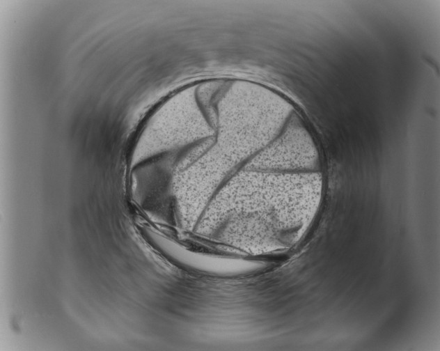 X0000098201507200805221529