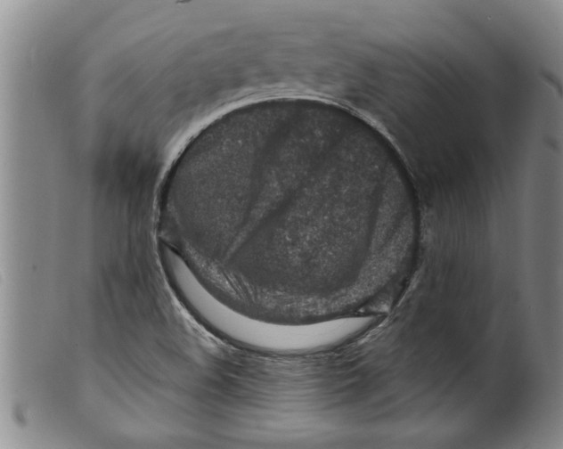 X0000098201508200805221529