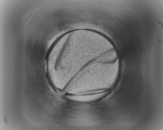 X0000098201509200805221529