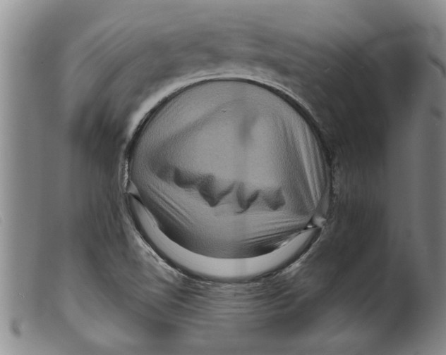 X0000098201510200805221529